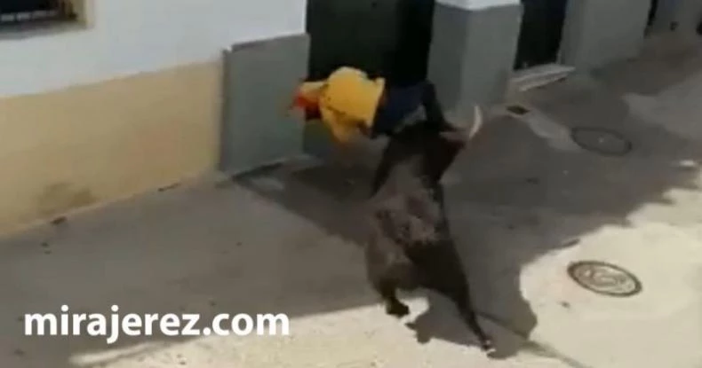 Η τρομακτική στιγμή που ταύρος σκοτώνει παγιδευμένο άνθρωπο σε φεστιβάλ στην Ισπανία (βίντεο)